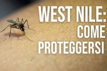 Prevenzione della diffusione delle zanzare e del Virus West Nile.
