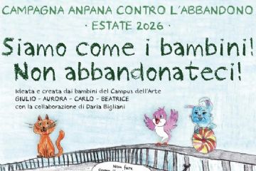 Stop all'abbandono degli animali- Campagna estate 2026.